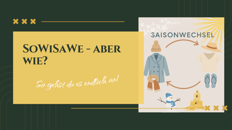 Beitragsbild Blogartikel SoWiSaWe aber wie