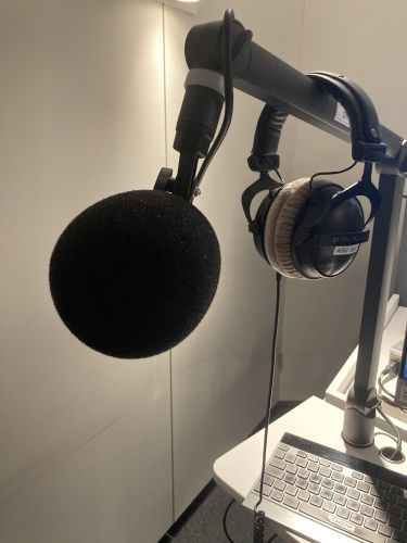 Michaela Heyer im ORF Talk Interview